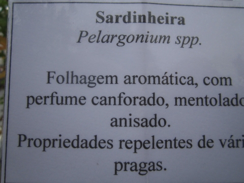 Placa de informação sobre as sardinheiras.